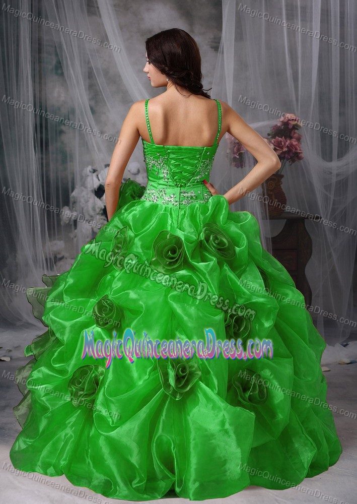 Green Floor-length Organza Beaded Quinceanera Dress with Straps in Soacha